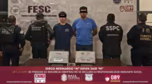 FESC y SSPC