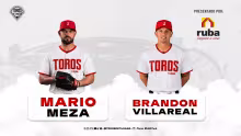 TOROS