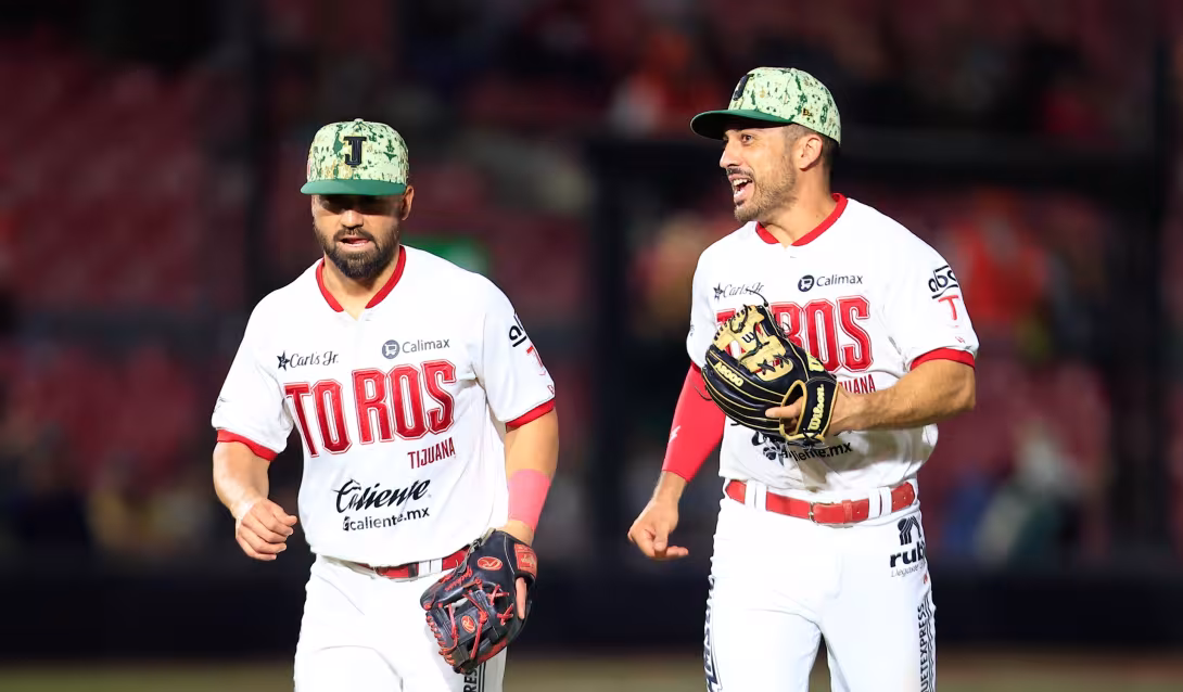 TOROS