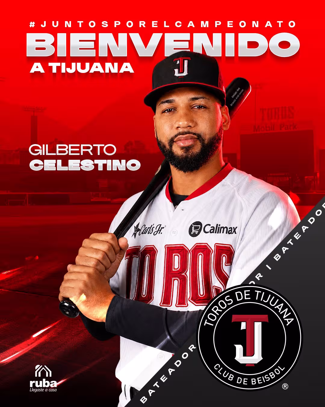 TOROS